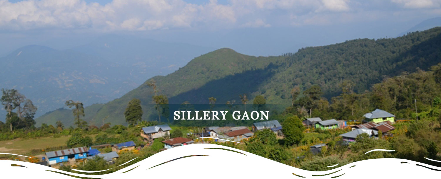 Spring Vale Resorts | Sikkim & North East Tour Package